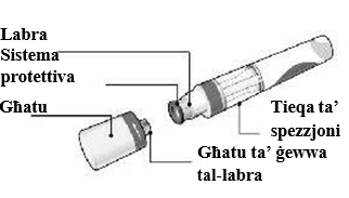 Immaġni tal-prodott ittikkettat għal siringa mimlija għal-lest ta' Cosentyx 150mg (SensoReady) li ssemmi kull komponent tal-prodott