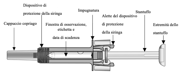Immagine del prodotto etichettata per la siringa preriempita di Cosentyx da 150 mg che denomina ogni componente del prodotto
