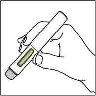 Pero je odstraněno z kůže, aby bylo prokázáno, že okénko je zcela zelené