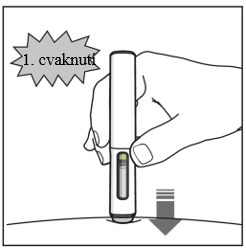 Pero bylo vloženo do kůže, což je označeno šipkou dolů. Nahoře se zobrazí popisek „1. kliknutí“, který označuje zvuk kliknutí z pera