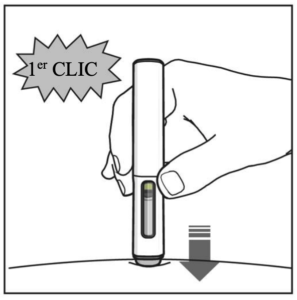 Le stylo a été inséré dans la peau, indiqué par une flèche vers le bas. Une légende disant "1er clic" apparaît au-dessus pour indiquer le son du clic du stylet