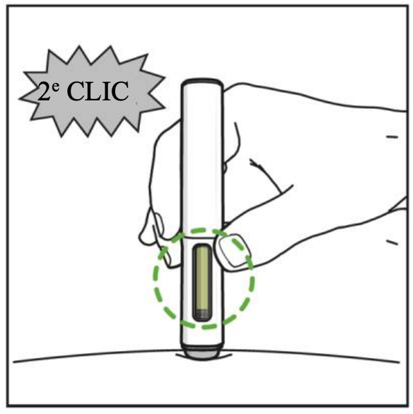 Le stylo a été inséré dans la peau. Une légende indiquant « 2e clic » apparaît au-dessus pour indiquer le son du deuxième clic du stylet. Un cercle en pointillé vert met en évidence la fenêtre qui est remplie de vert pour montrer l'insertion réussie.