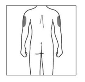 Zarys tylnej części męskiego ciała od szyi do kolan z podkreśleniem ramion