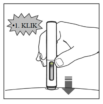 " Peresnik je bil vstavljen v kožo, kar je označeno s puščico navzdol. Zgoraj se prikaže oblaček z napisom »1. klik«, ki označuje zvok klikanja peresa"