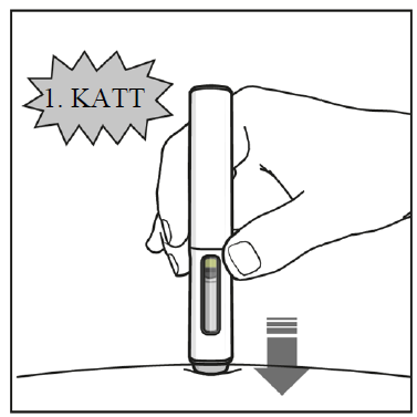 A tollat ​​a bőrbe helyezték, amit egy lefelé mutató nyíl jelzi. Felül egy „1. kattintás” felirat jelenik meg, jelezve a toll kattanó hangját