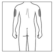 Mehe seljaosa kontuur kaelast põlveni, esile tõstetud õlad